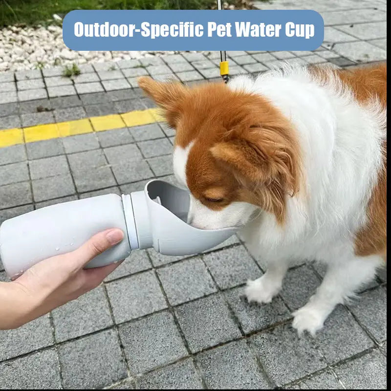Portable Leak-Proof Dog Water Bottle - Foldable Lightweight Dispenser and Drinking Bowl for Pets (19 Oz) Ideal for Outdoor Activities, Hiking, and Travel